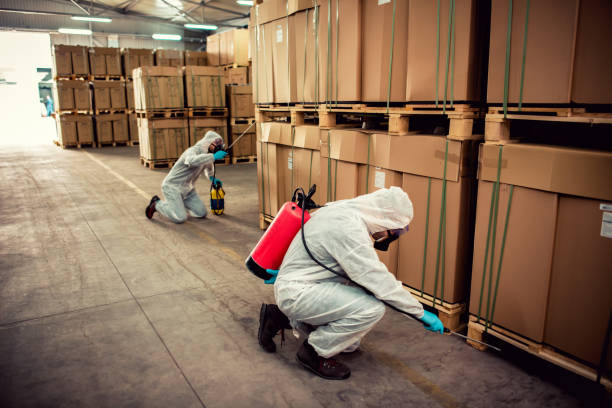 Best Termite Control Services  in Parksdale, CA