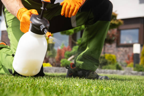 Best Flea Control Services  in Parksdale, CA