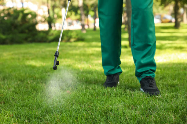 Best Residential Pest Control  in Parksdale, CA