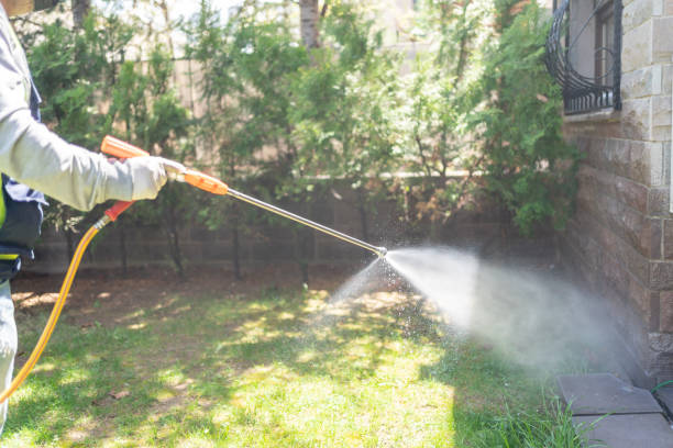 Best Spider Control Near Me  in Parksdale, CA