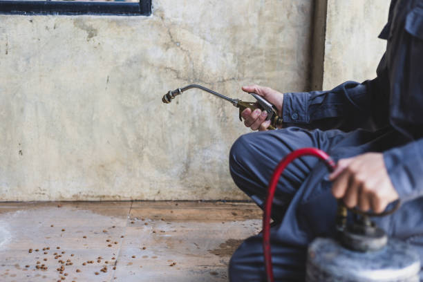 Best Exterminator Services  in Parksdale, CA